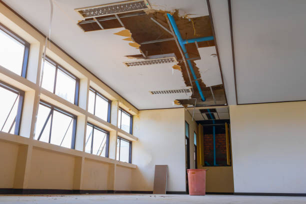 Best Water damage cleanup near me  in Stagecoach, NV