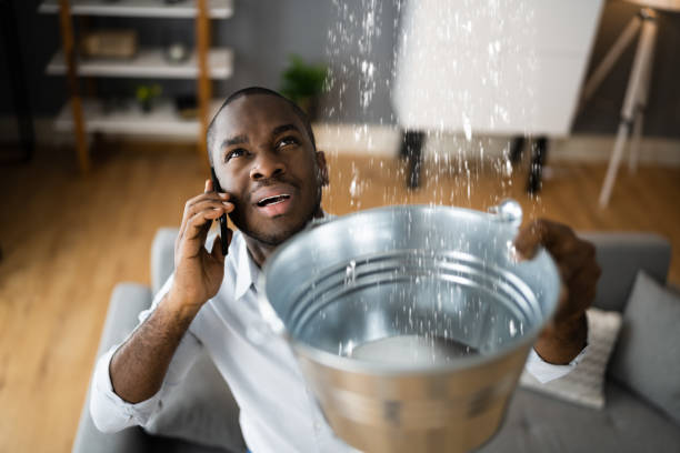 Best 24/7 water damage repair  in Stagecoach, NV