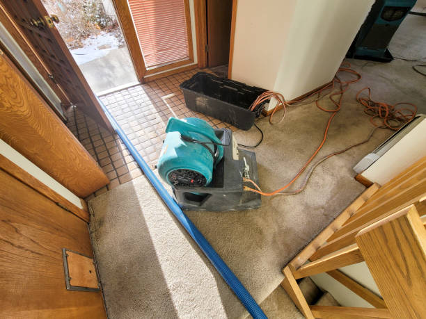 Water damage restoration mold remediation in NV