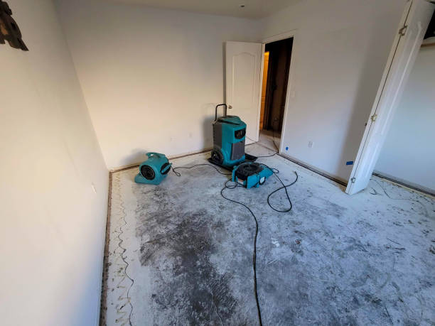 Best Flooded house restoration  in Stagecoach, NV
