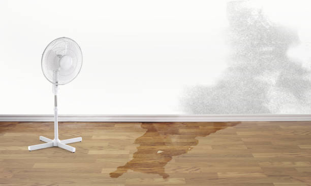 Best Flood restoration services  in Stagecoach, NV