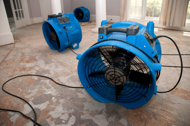Best Water damage restoration near me  in Stagecoach, NV