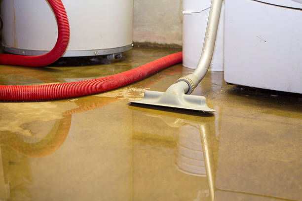 Best Sewage cleanup and water damage restoration  in Stagecoach, NV