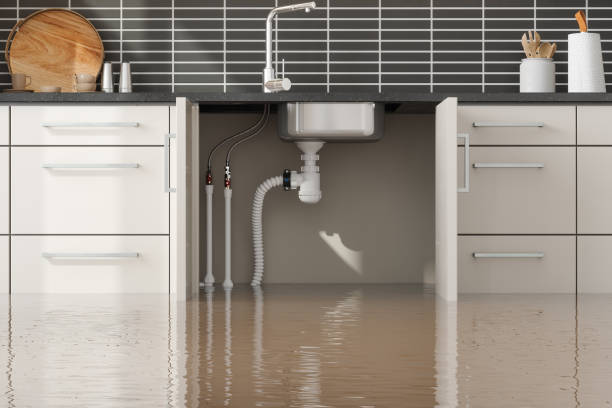 Best Mold removal after water damage  in Stagecoach, NV