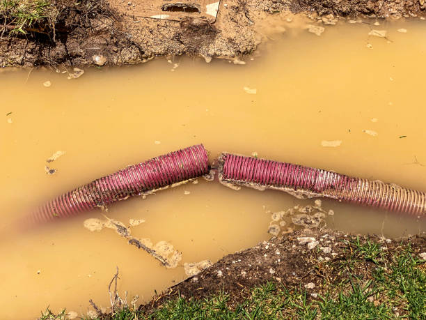 Best Local water damage restoration  in Stagecoach, NV